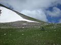 029 campofelice
